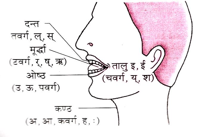 हिंदी व्याकरण ( Hindi Grammar)